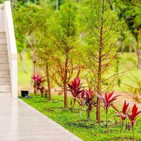 Apartamento Dream Field Luye Exterior foto