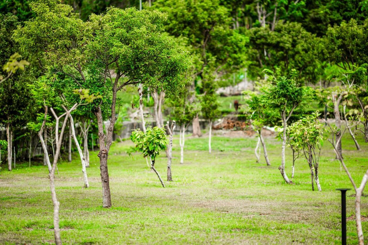 Apartamento Dream Field Luye Exterior foto