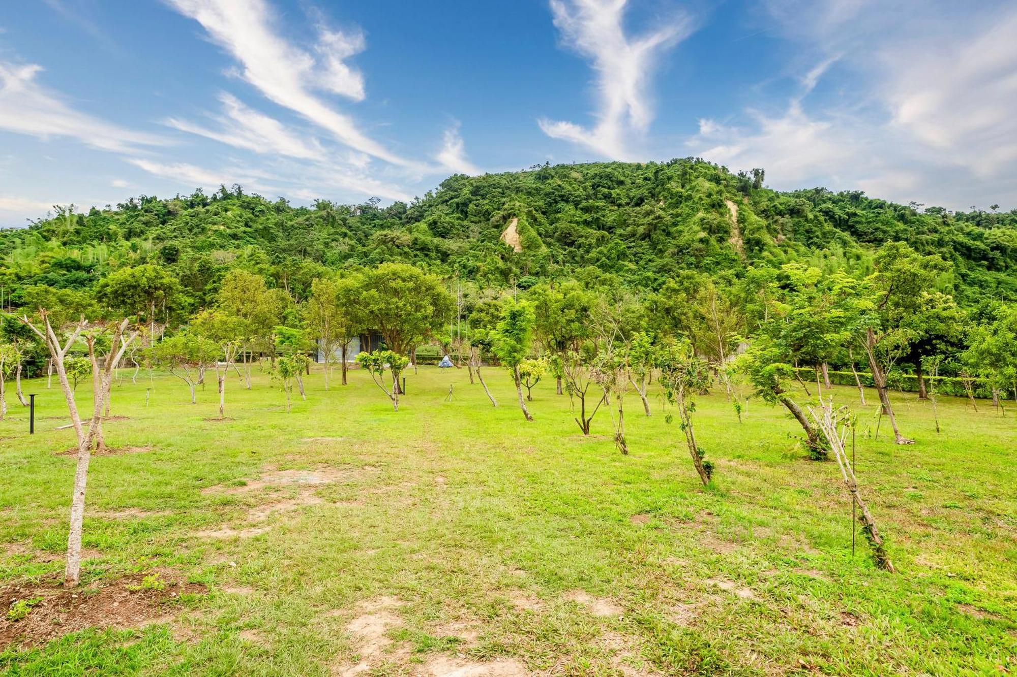 Apartamento Dream Field Luye Exterior foto