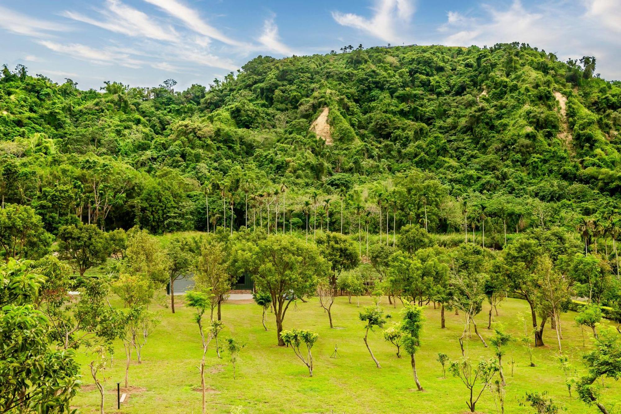 Apartamento Dream Field Luye Exterior foto