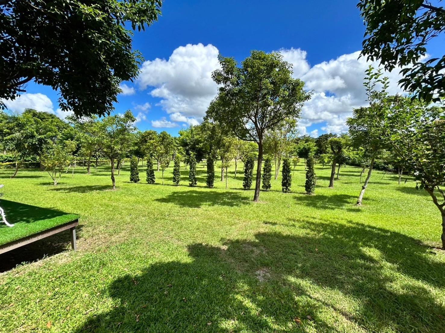 Apartamento Dream Field Luye Exterior foto
